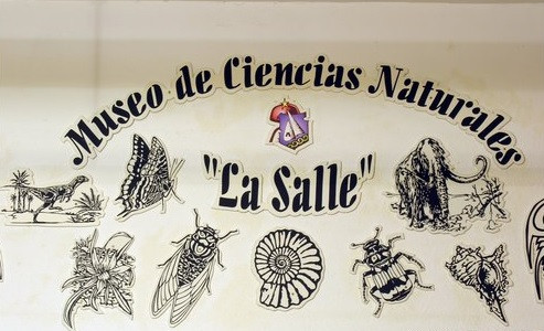 Taller práctico: Visita al Museo de Historia Natural del Colegio La Salle-Virgen del Mar.